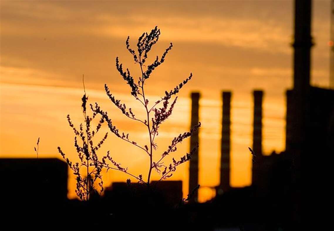 LA HUELLA DE CARBONO DEL CEMENTO PODRÍA REDUCIRSE UN 80% EN 2050