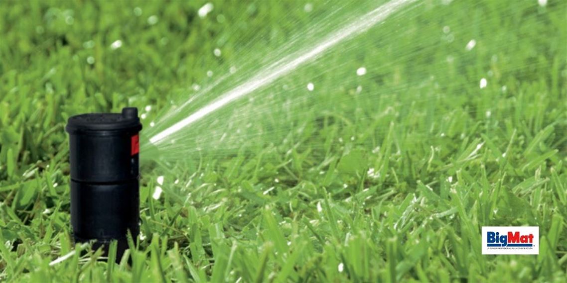 6 trucos imprescindibles para ahorrar agua en el jardín