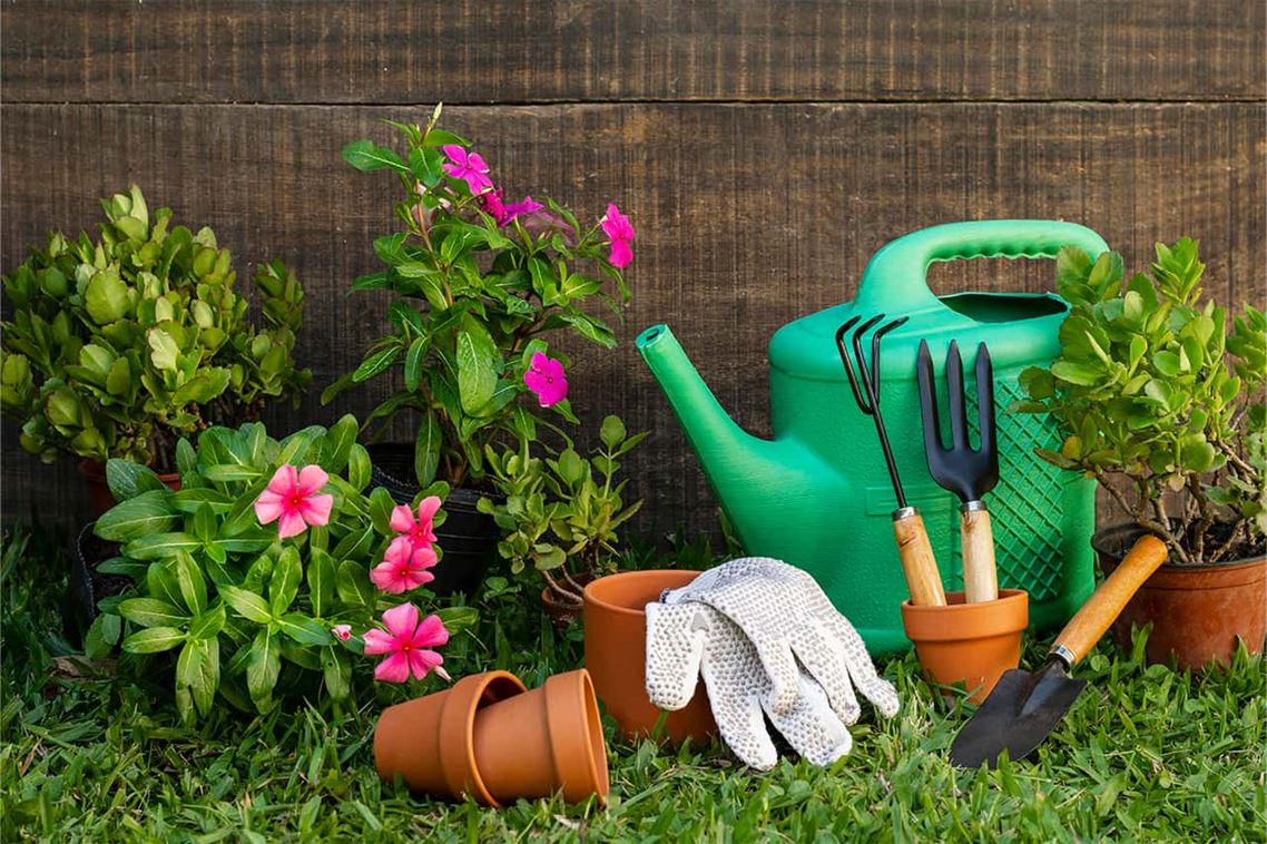 ¡Sorprende a Todos con tu Jardín! Tips para Prepararlo y Disfrutarlo en Primavera y Verano