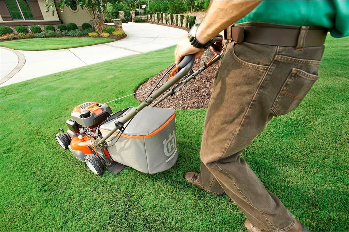4 Herramientas que Deberías Tener para el Cuidado de tu Jardín