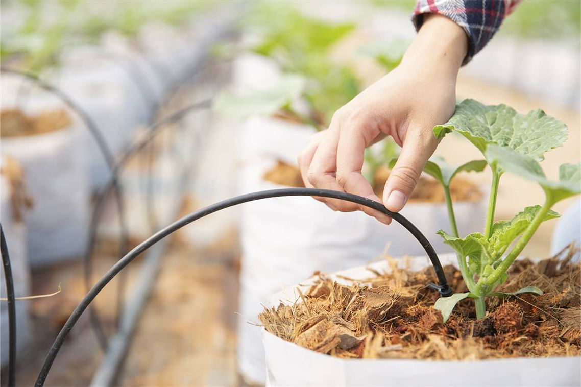 Como selecionar o melhor sistema de rega gota a gota para as suas plantas