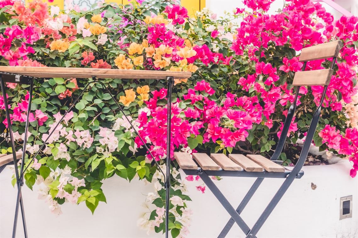 10 ideias para decorar uma varanda pequena e maximizar o espaço
