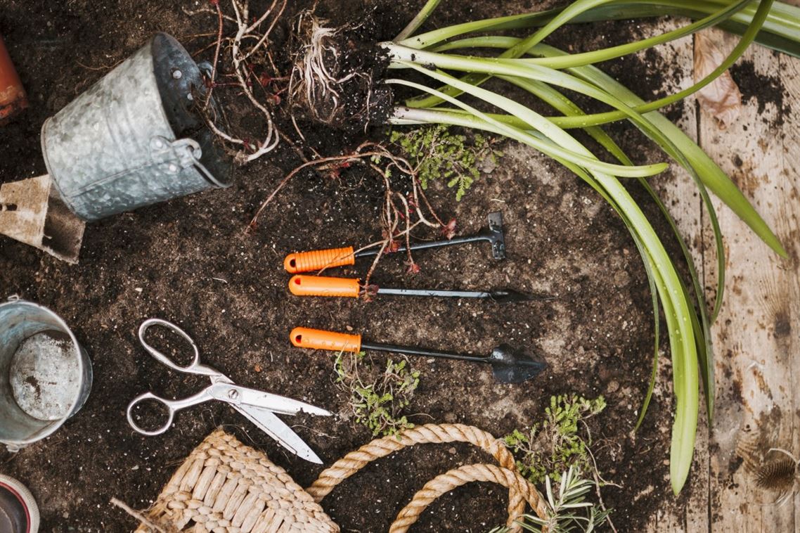 Como preparar o seu jardim em setembro: um guia essencial para a mudança das estações