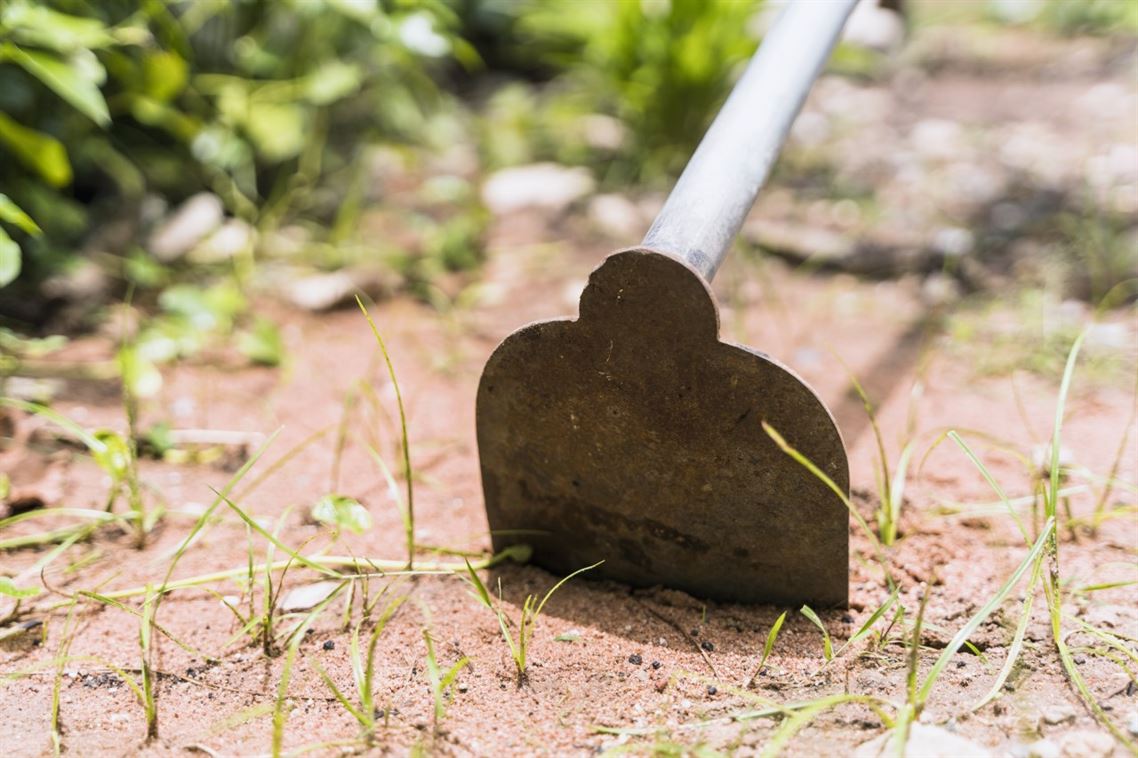 Consejos para limpiar y proteger las herramientas de jardinería en invierno