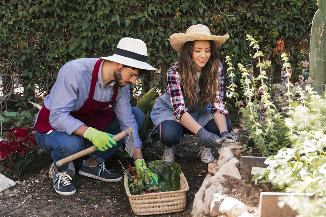 Prepara tu Jardín para la Primavera: Tips para un Espacio Lleno de Vida