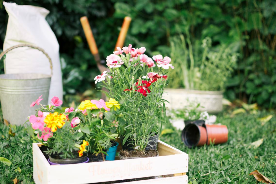 ¿Cómo preparar tu jardín para el verano? Consejos prácticos para disfrutar al máximo al aire libre