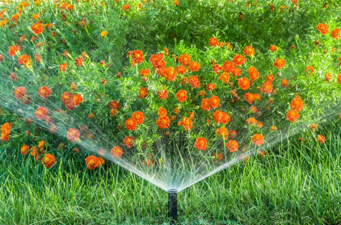  Riego Inteligente: Clave para un Jardín Siempre Verde