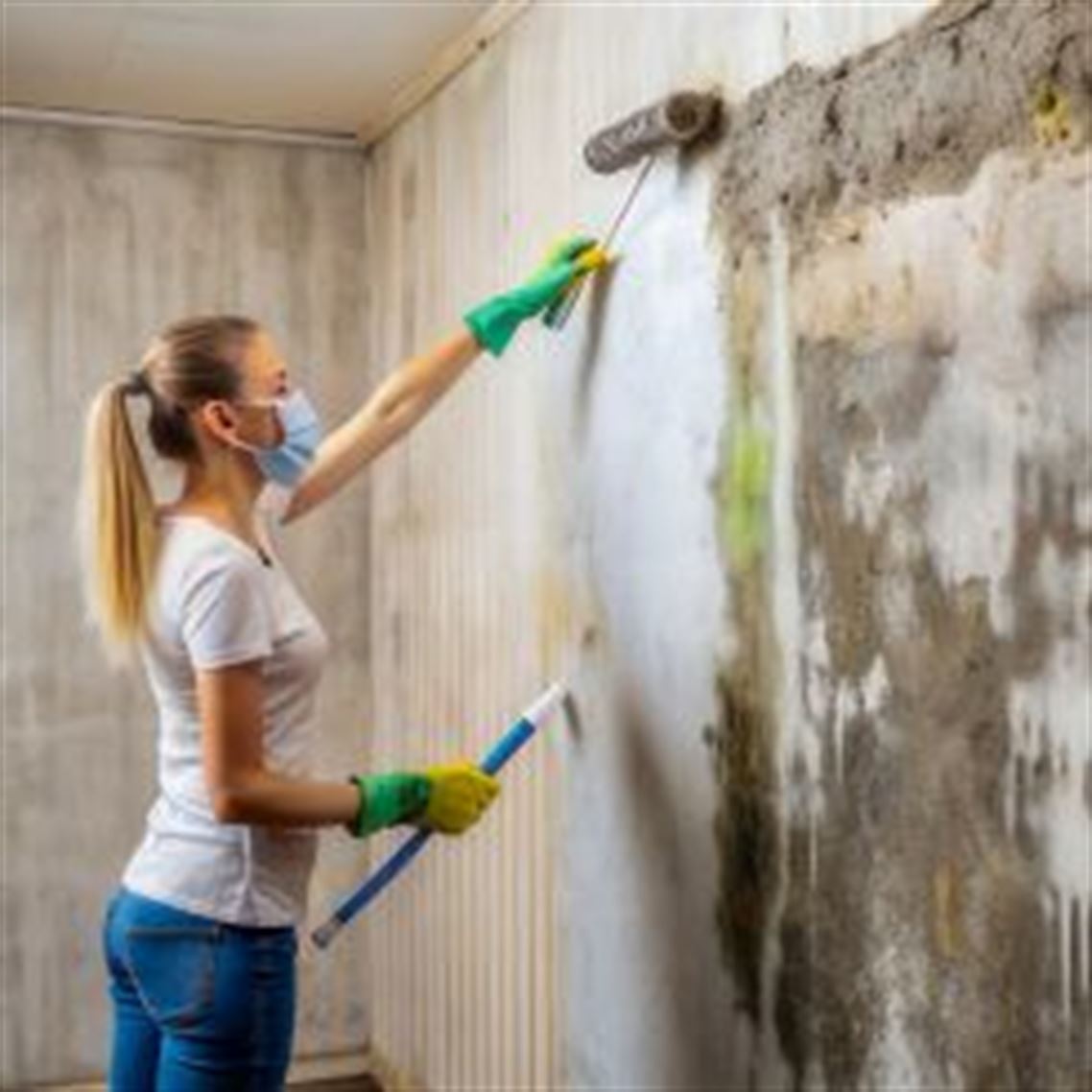 Imagen principal de la noticia Cómo eliminar manchas y humedades en paredes: causas y soluciones