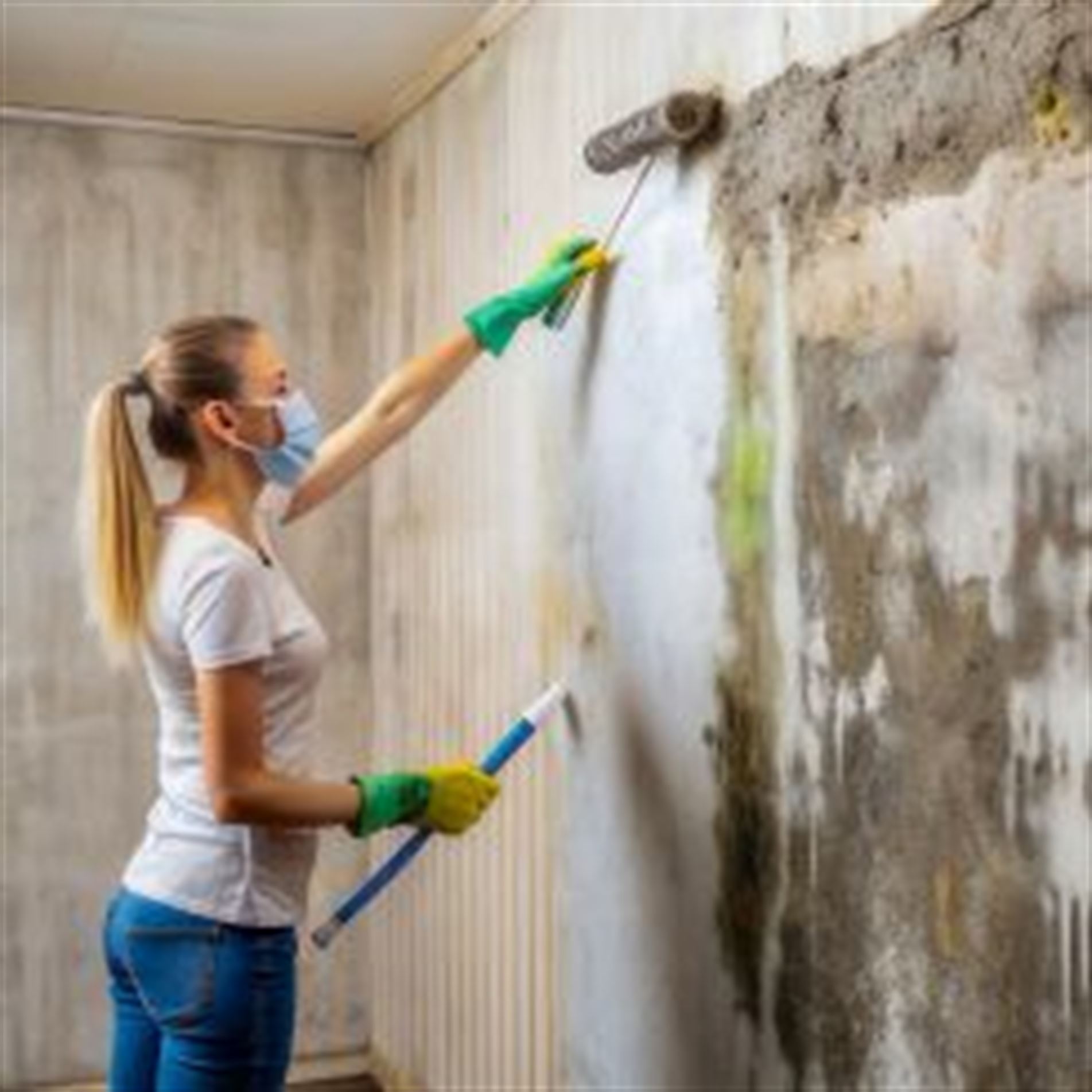 Imagem de fundo da página inicial de notícias