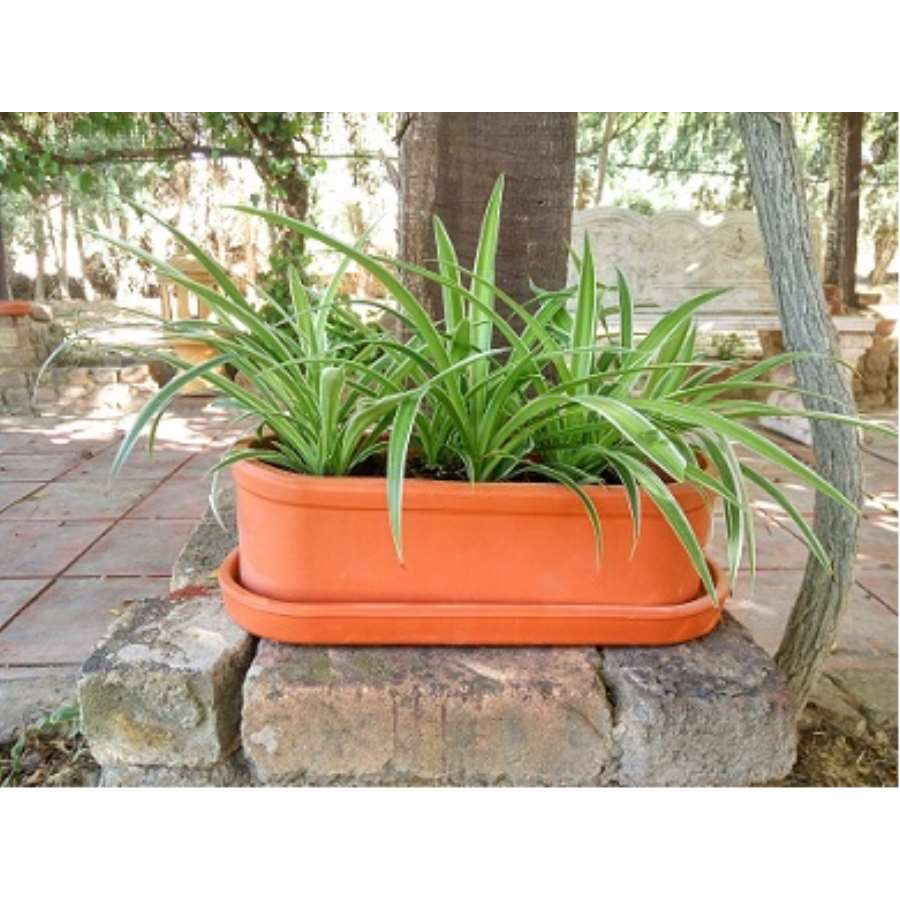 Imagen principal del productoJARDINERA ALARGADA BARRO 43CM