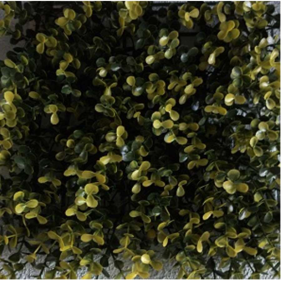 Imagen principal del productoJARDIN VERTICAL OCULTACION ARTIFICIAL HOJA ACACIA 50X50CM