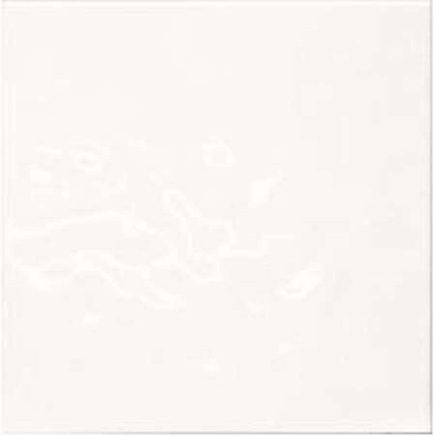 Imagen principal del productoMUESTRA REVESTIMENTO BLANCO MATE 20x20