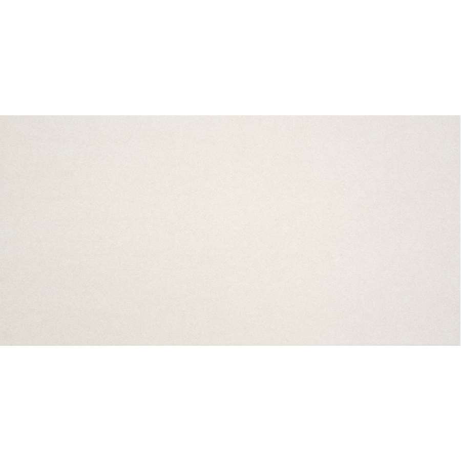 Imagem principal do produtoREVESTIMENTO TITÂNIO BRANCO 30x60