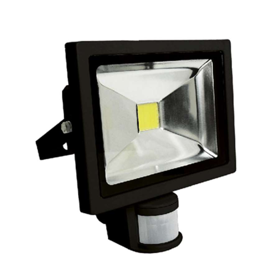 Imagen principal del productoPROYECTOR LED 10W CON DETECTOR 900LM