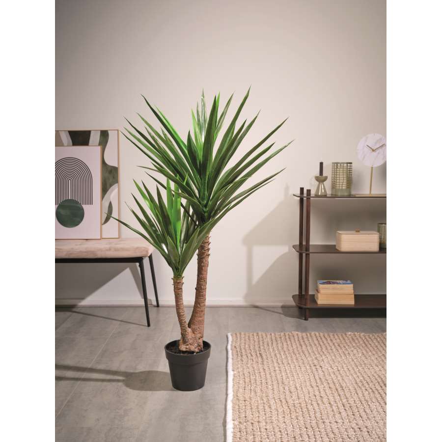 Imagem de acessório do produtoYUCA EN MACETA DE PLASTICO