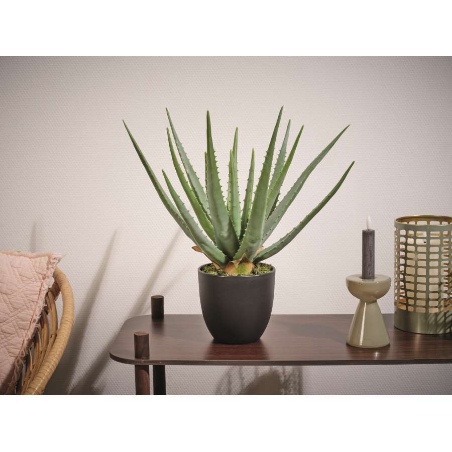 Imagen accesoria del productoPLANTA ALOE VERA ARTIFICIAL  EN MACETA 25X40 CM