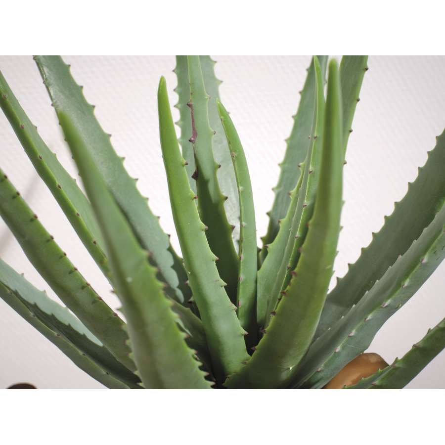 Imagen accesoria del productoPLANTA ALOE VERA ARTIFICIAL  EN MACETA 25X40 CM
