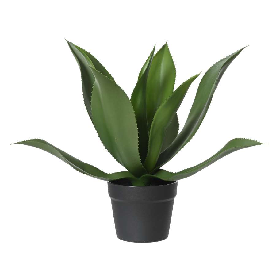 Imagen principal del productoPLANTA AGAVE VERDE ARTIFICIAL EN MACETA