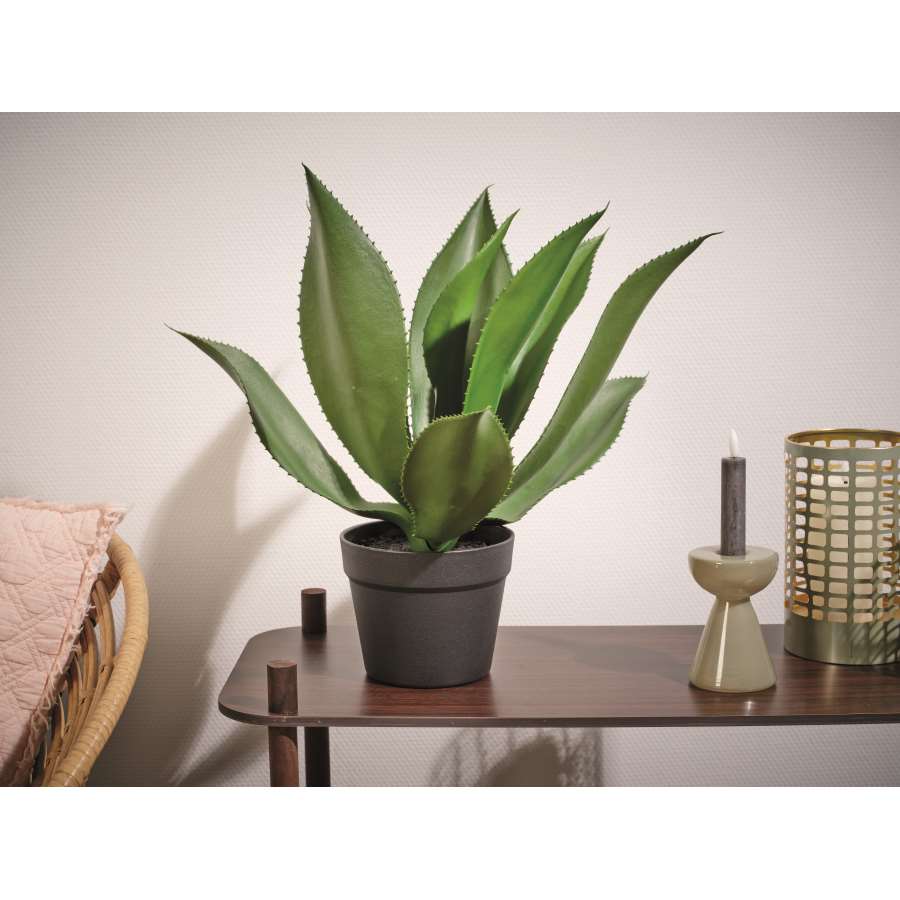 Imagen accesoria del productoPLANTA AGAVE VERDE ARTIFICIAL EN MACETA