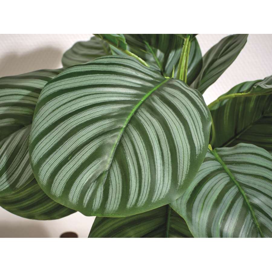 Imagen accesoria del productoPLANTA CALATHEA ARTIFICIAL L40,00-H50,00 cm