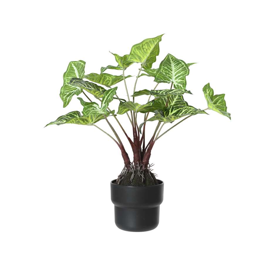 Imagen principal del productoPLANTA CALADIUM ARTIFICIAL EN MACETA