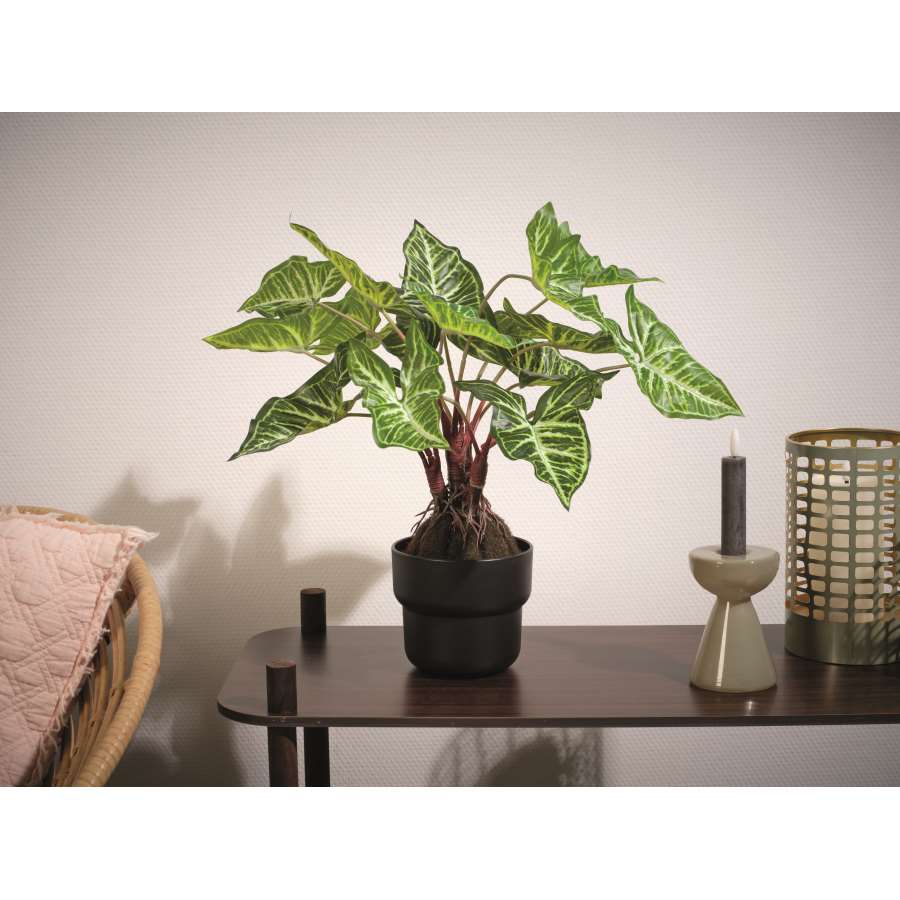 Imagen accesoria del productoPLANTA CALADIUM ARTIFICIAL EN MACETA