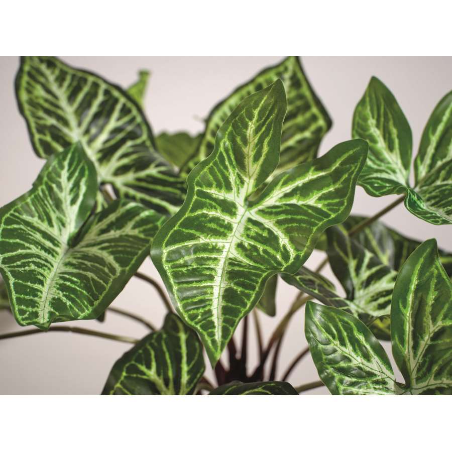 Imagen accesoria del productoPLANTA CALADIUM ARTIFICIAL EN MACETA