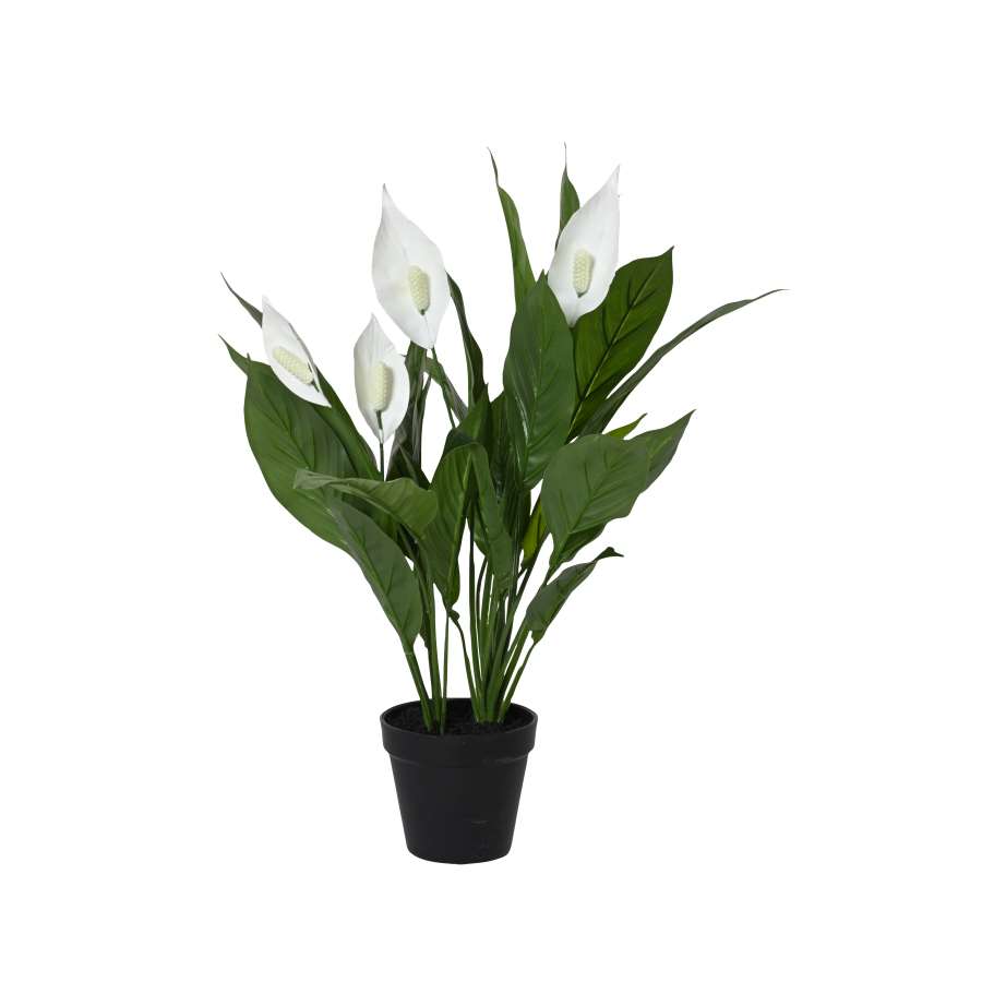 Imagen principal del productoLIRIO DE LA PAZ ARTIFICIAL MACETA 26 HOJAS dia.40-H60.cm