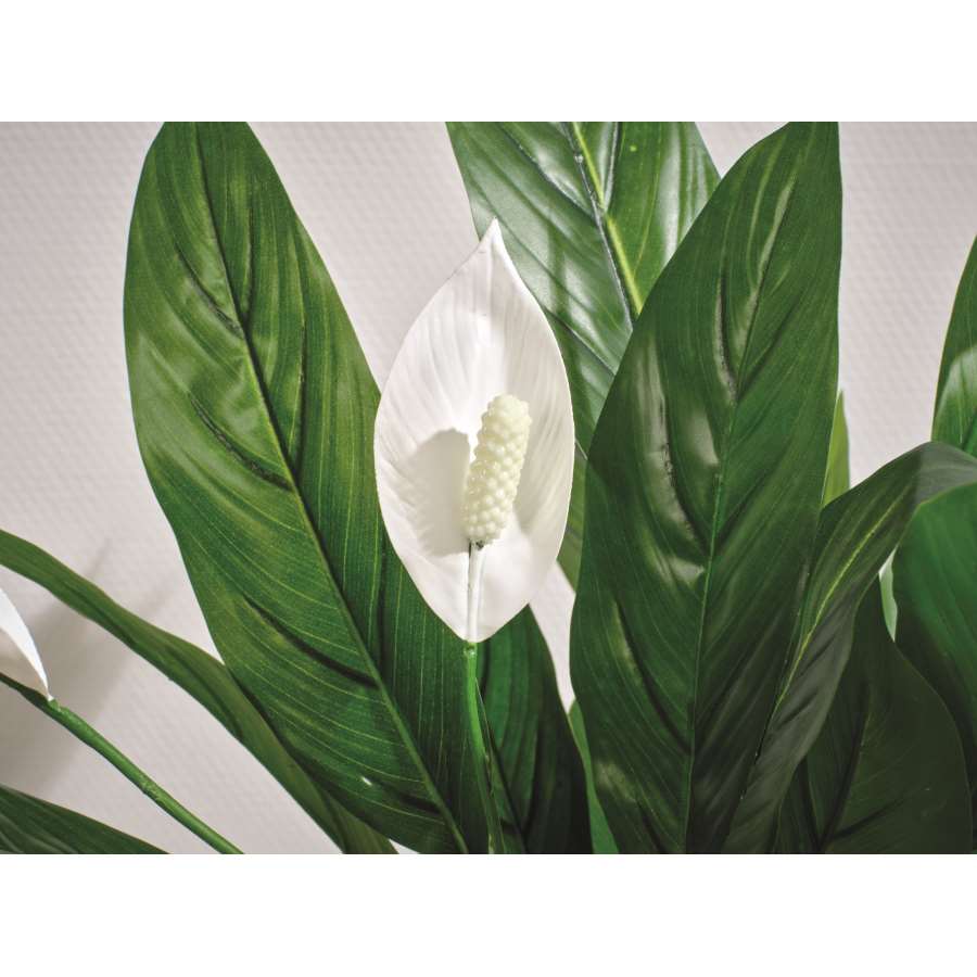 Imagen accesoria del productoLIRIO DE LA PAZ ARTIFICIAL MACETA 26 HOJAS dia.40-H60.cm