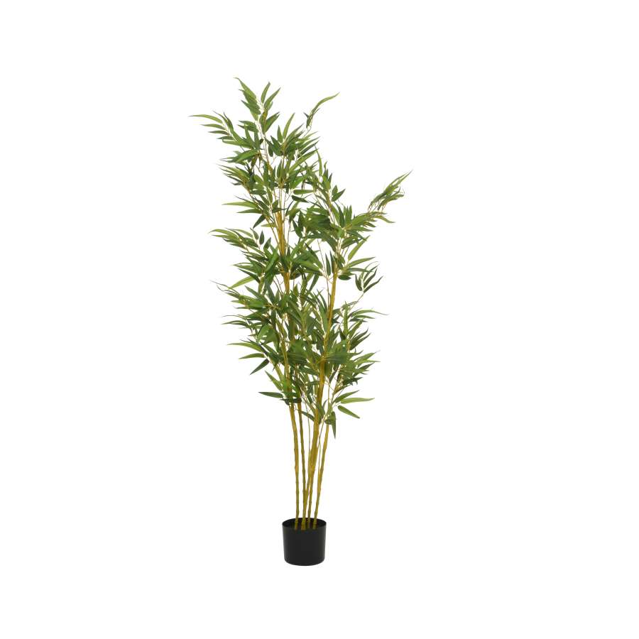 Imagen principal del productoBAMBOO ARTIFICIAL L55.00-W80.00-H150.00cm