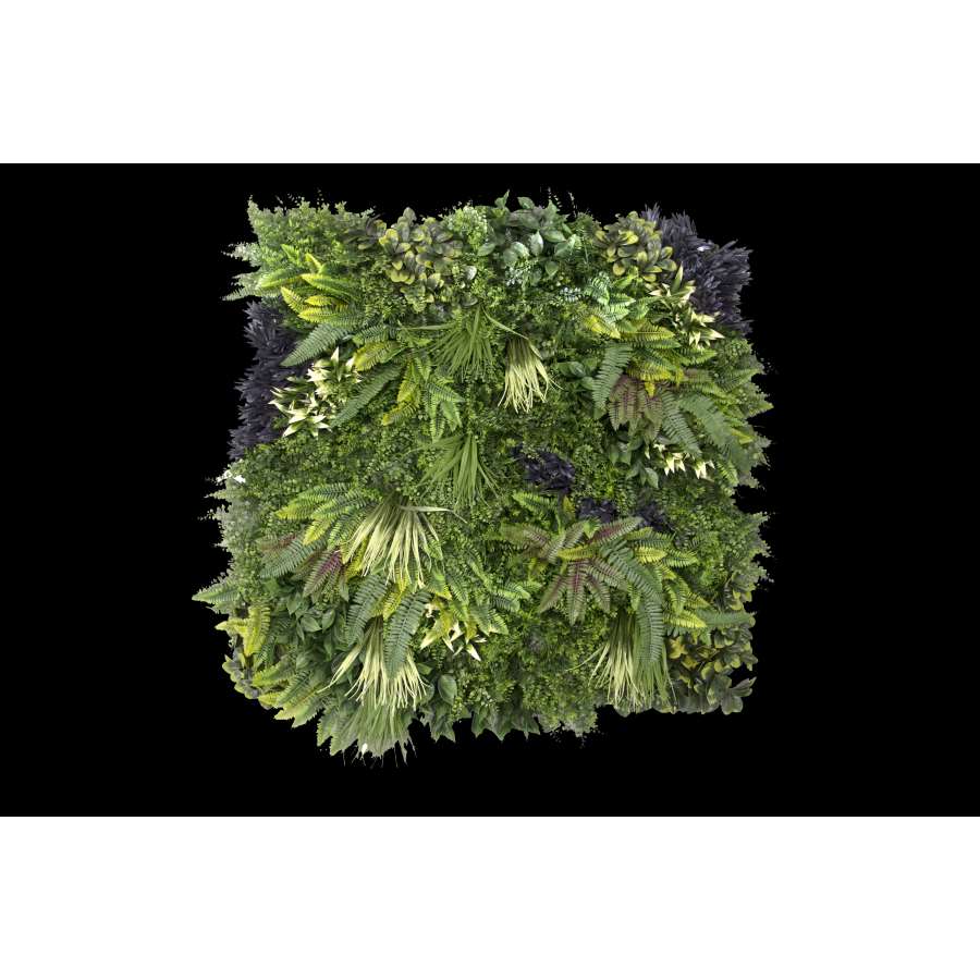 Imagem principal do produtoJARDIN VERTICAL BORA BORA 100X100 CM