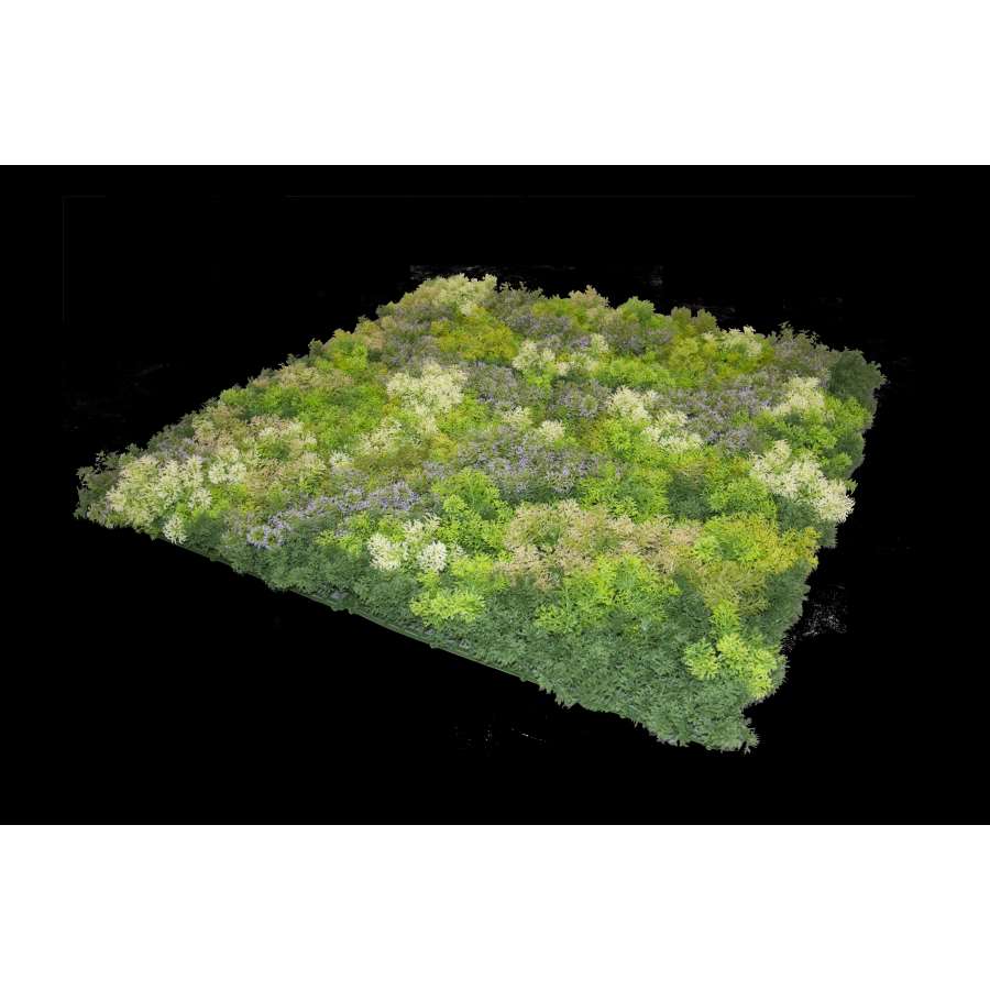 Imagem principal do produtoJARDIN VERTICAL ELBA 100 X 100 CM