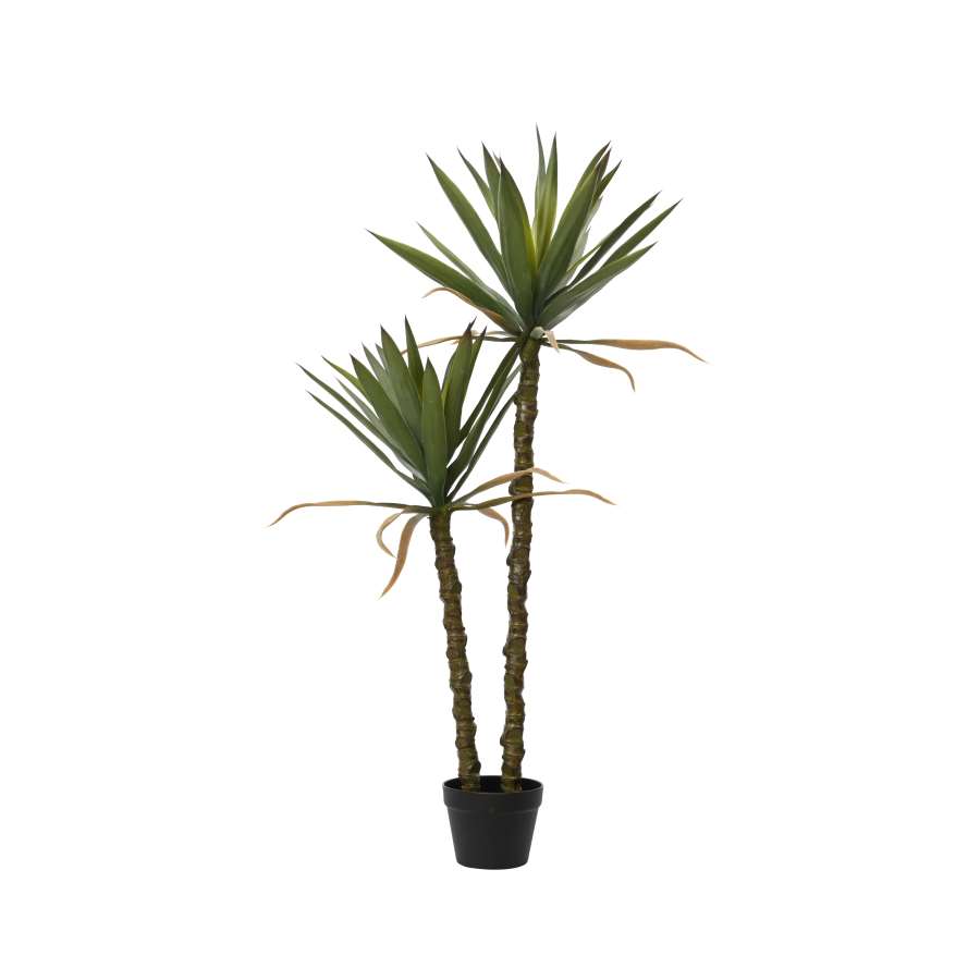 Imagen principal del productoSISAL EN MACETA dia60cm x H.125cm