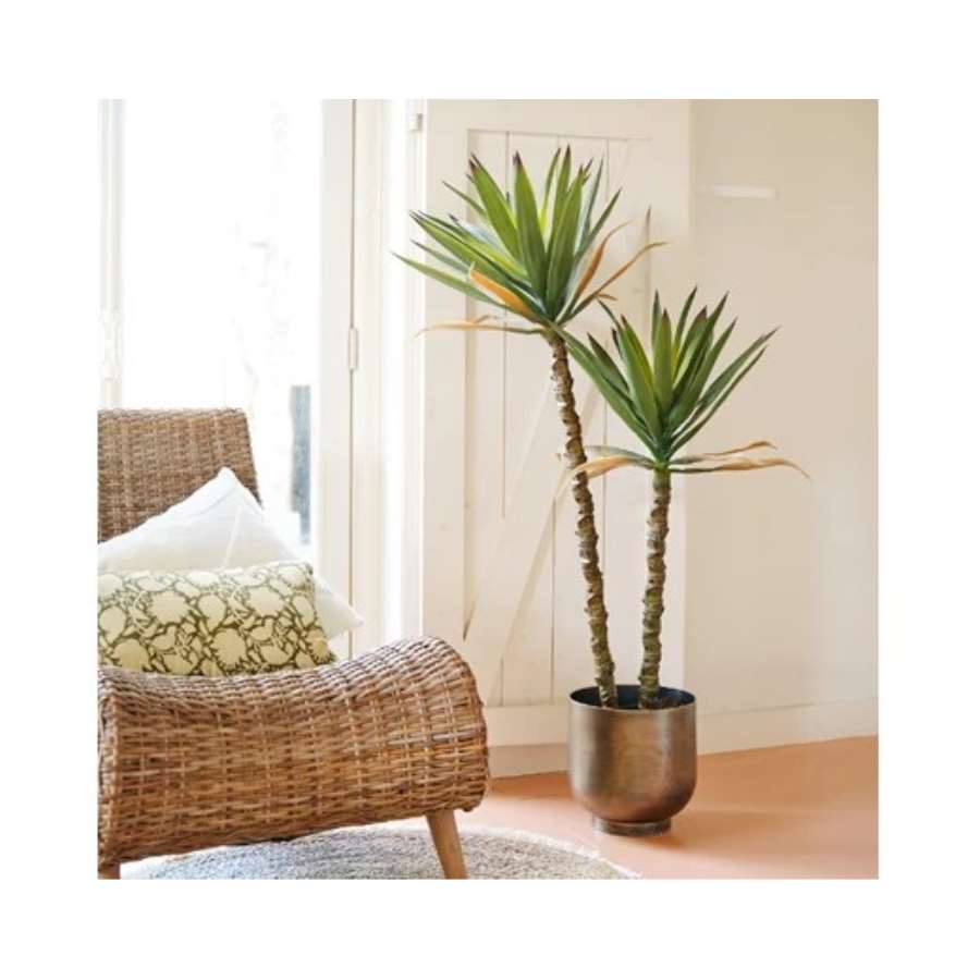 Imagen accesoria del productoSISAL EN MACETA dia60cm x H.125cm