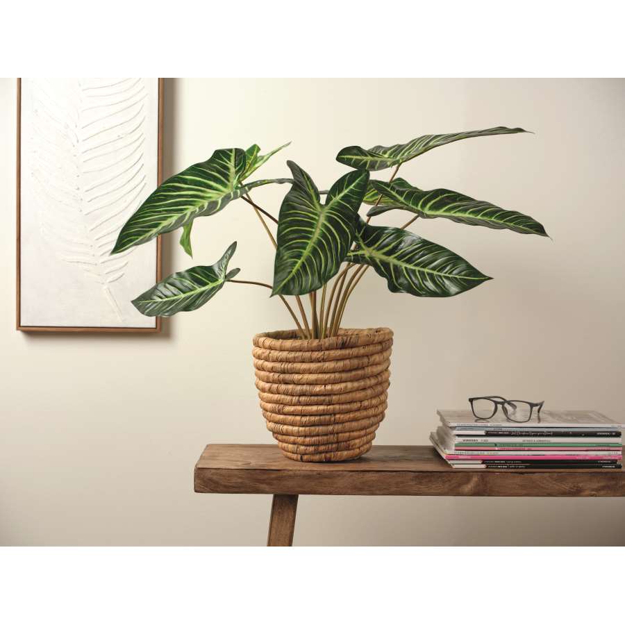 Imagen principal del productoPLANTA ARTIFICIAL CALADIUM LINDENI EN MACETA