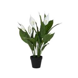 Imagen de LIRIO DE LA PAZ ARTIFICIAL MACETA 26 HOJAS dia.40-H60.cm