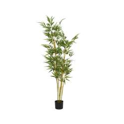 Imagen de BAMBOO ARTIFICIAL L55.00-W80.00-H150.00cm