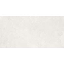 Imagen de REVESTIMIENTO EVO STONE WHITE 60X120