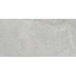 Imagen de REVESTIMIENTO EVO STONE GREY 60X120