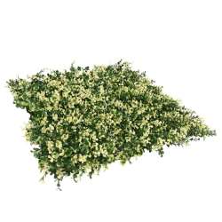 Foto de JARDIN VERTICAL JAZMIN 50X50CM PACK 4 UD