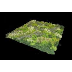 Foto de JARDIN VERTICAL ELBA 100 X 100 CM