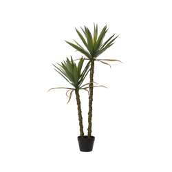 Foto de SISAL EN MACETA dia60cm x H.125cm