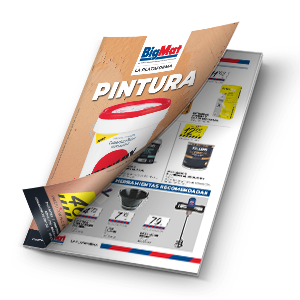 Folleto PINTURA La Plataforma BigMat 2024