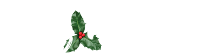 Te Deseamos Feliz Navidad